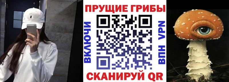 darknet официальный сайт  сколько стоит  Петровск  Псилоцибиновые грибы Magic Shrooms 